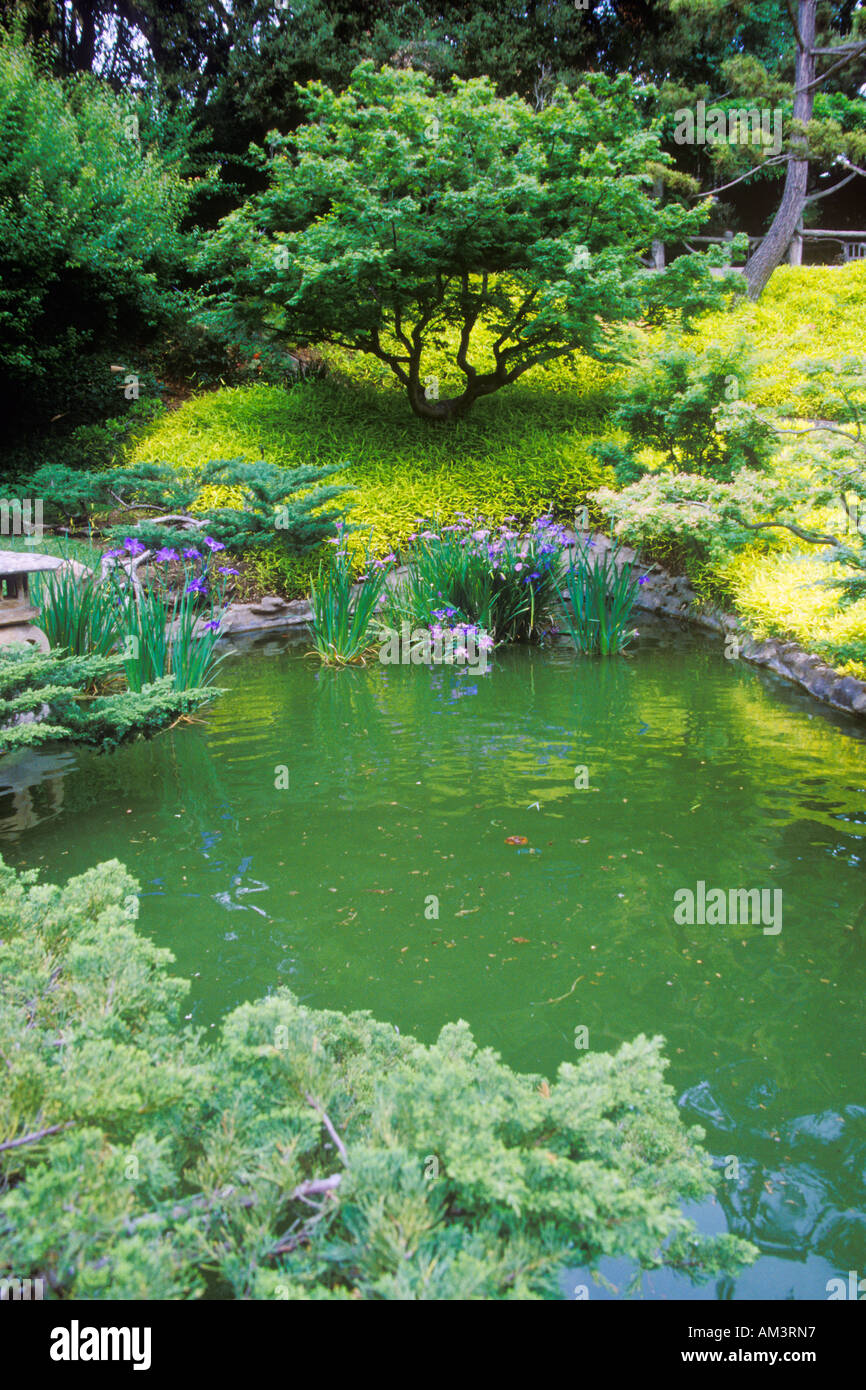 Huntington Library and Gardens Japanese Gardens Pasadena CA Stock Photo