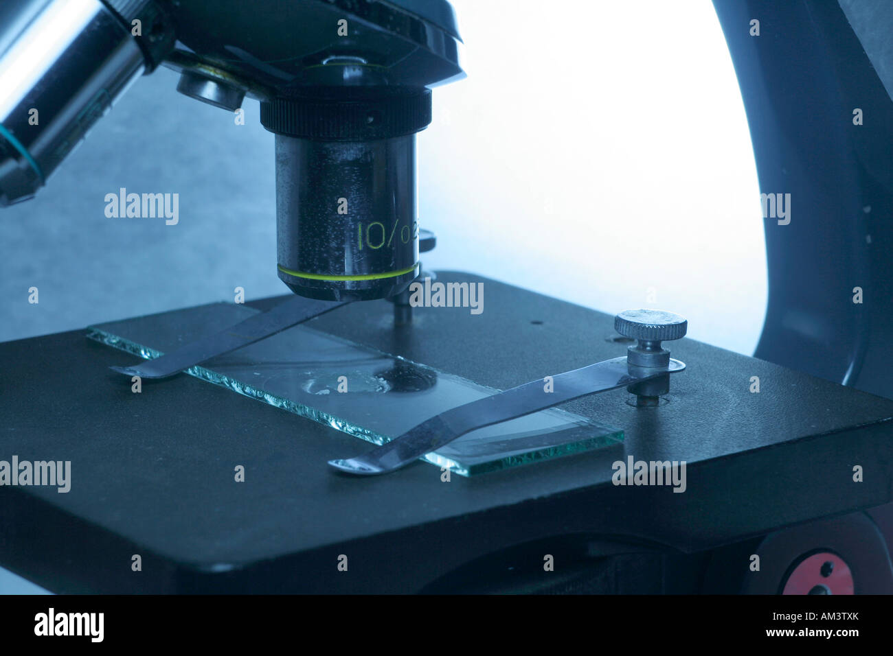 Optical microscope stage Stock Photo Alamy