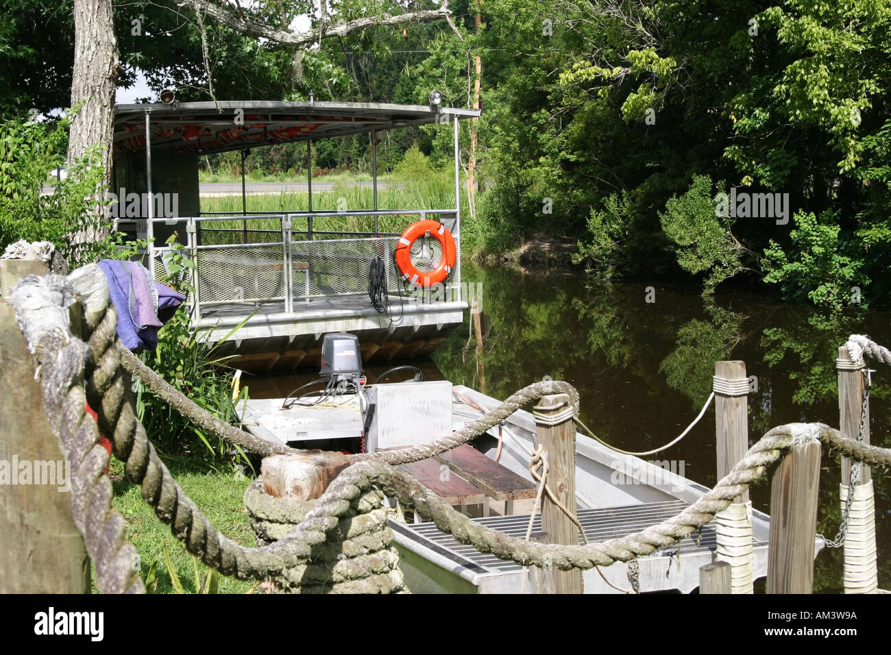 Bayou in Louisiana with alligators Stock Photo Alamy