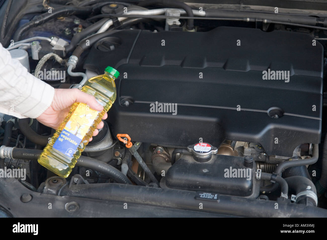 Man's left hand holding bottle of vegetable oil in front of diesel car