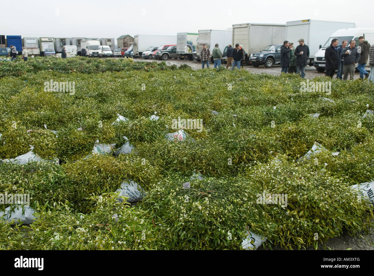 Tenbury Wells Mistletoe and Holly Christmas Auction Worcestershire UK