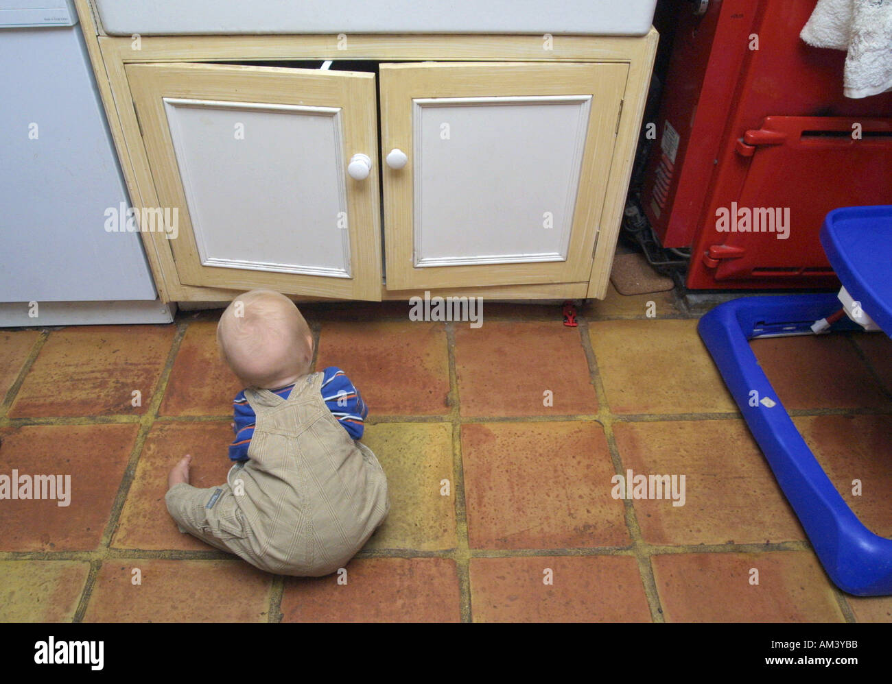 Toddler In Kitchen Trying To Open Cupboard Door With Safety Catch Stock   Toddler In Kitchen Trying To Open Cupboard Door With Safety Catch AM3YBB 