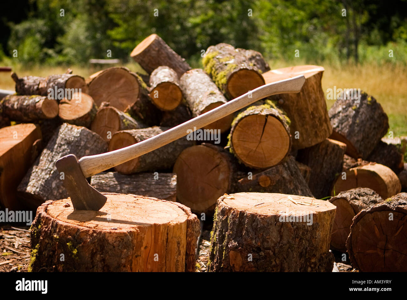 Woodsman's axe with a pile of cut logs. Stock Photo
