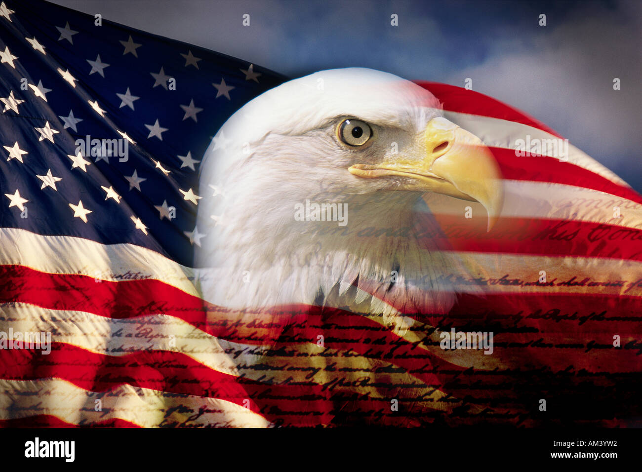 Digital composite American bald eagle and flag is underlaid with the handwriting of the US Constitution Stock Photo