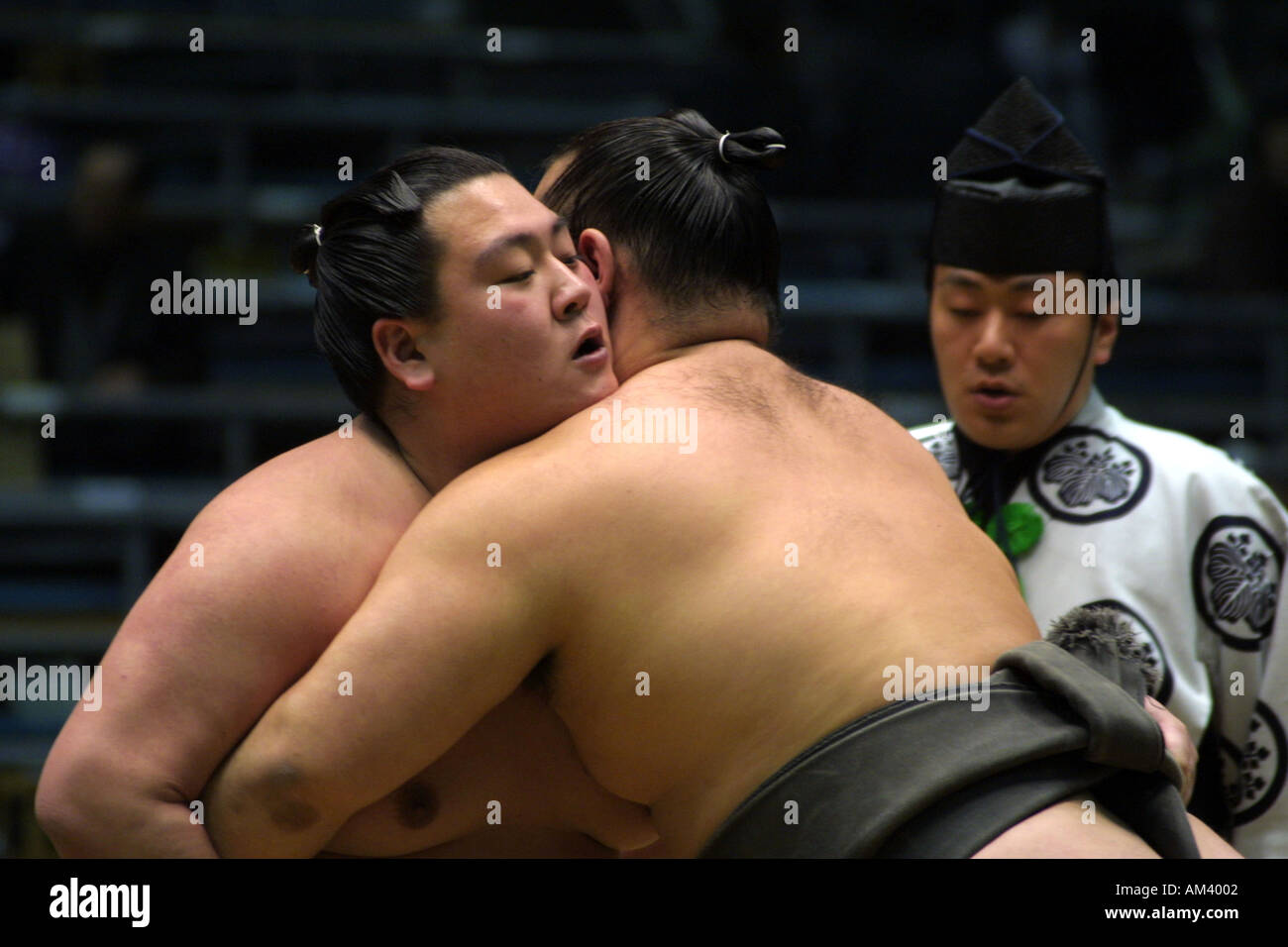 Traditional Japanese Sumo Wrestlers grappling fighting at the Spring Sumo tournament in Osaka Kansai Japan Asia Stock Photo
