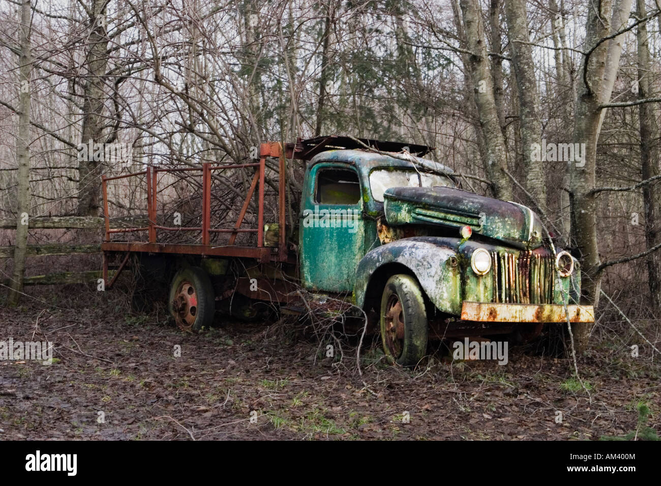 Abandoned Old Green Truck In Forest Stock Photo