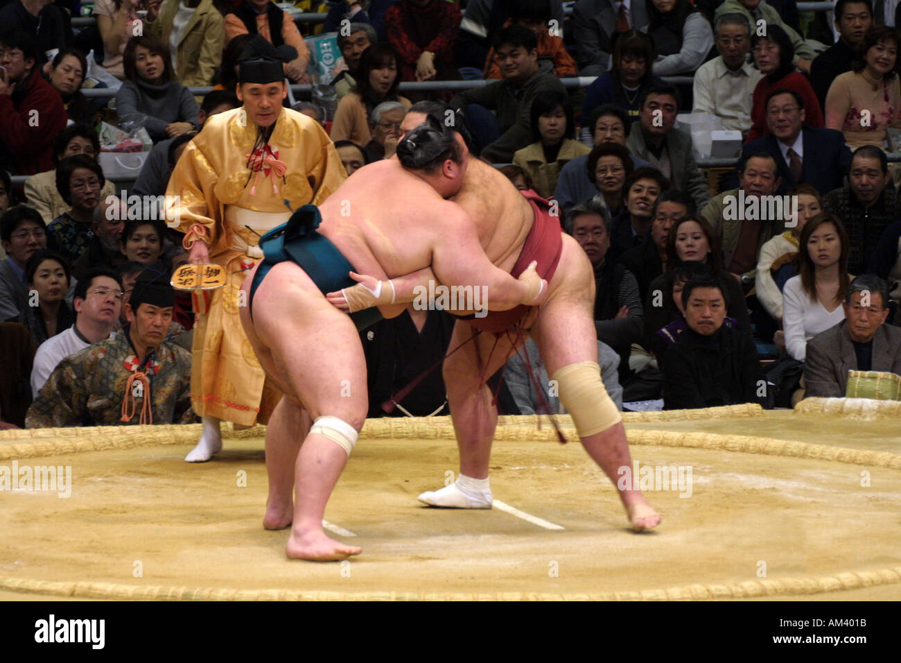 Sumo Wrestlers Grappling Fighting Sparring At The Famous Spring Sumo sumo-wrestlers-grappling-fighting-sparring-at-the-famous-spring-sumo