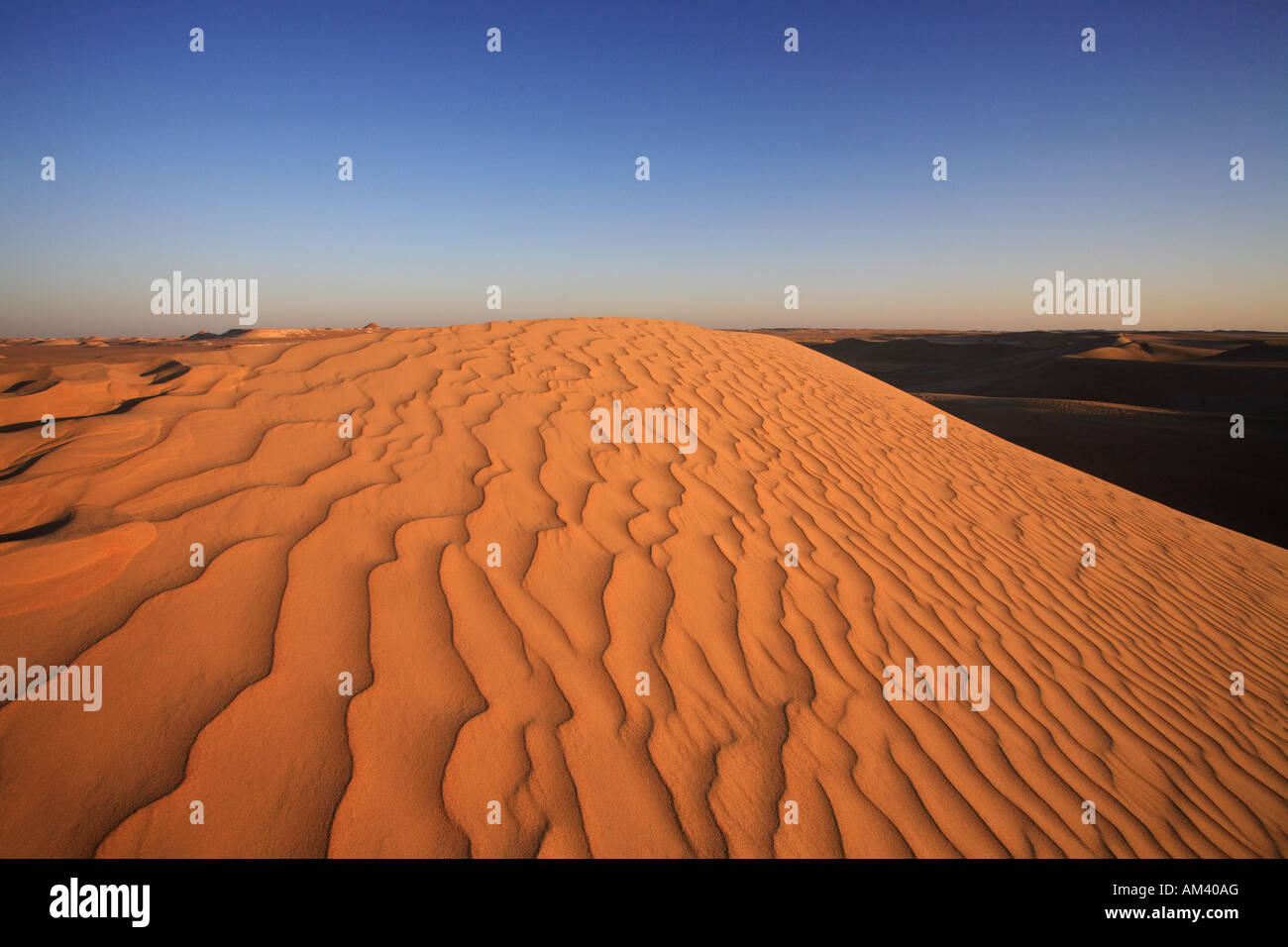 Egypt, the Libyan Desert, Siwa Stock Photo - Alamy