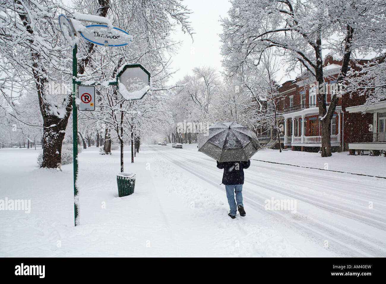 Canada, Quebec Province, Montreal, Outremont District, Outremont Park