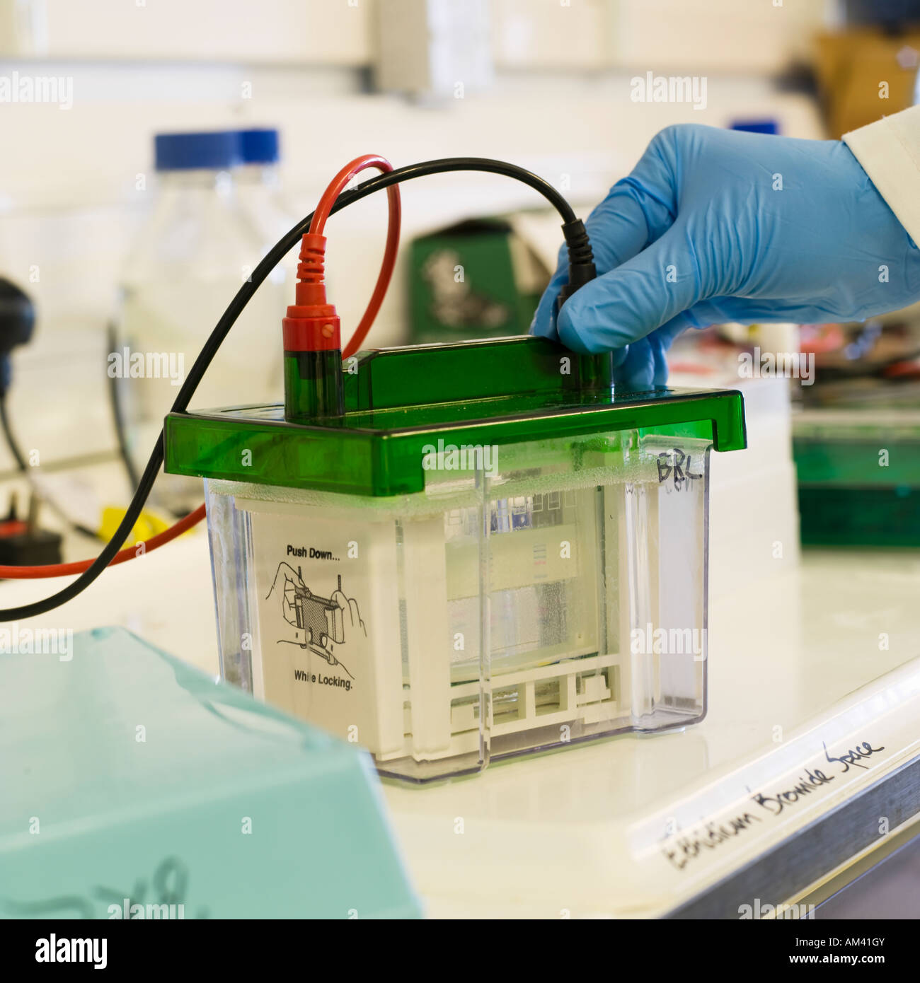 Laboratory work clinical trials research testing equipment specialist