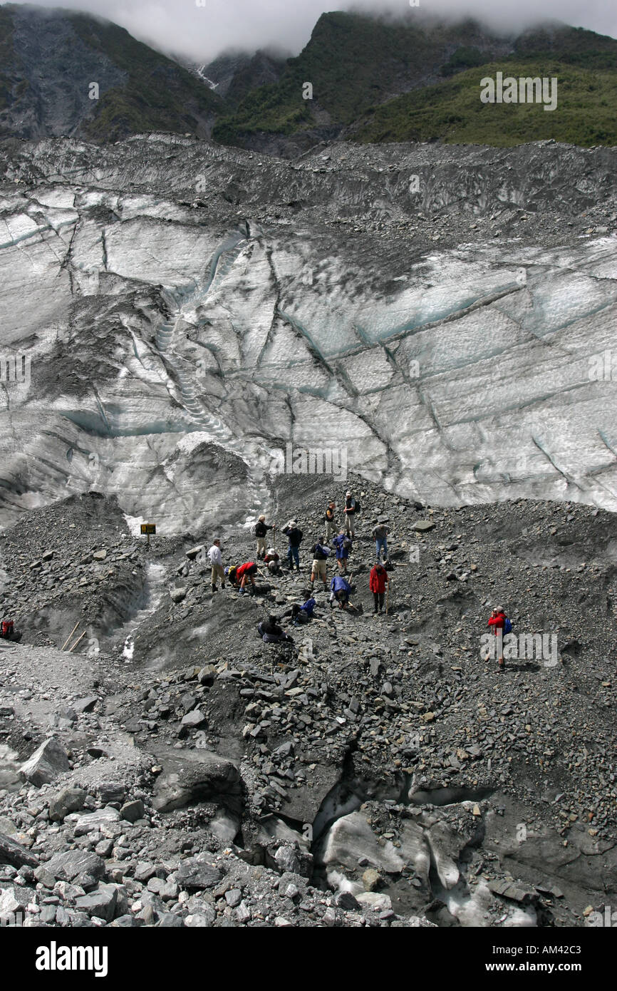 Hiking on the Fox Glacier in the Mt Cook National Park South Island New
