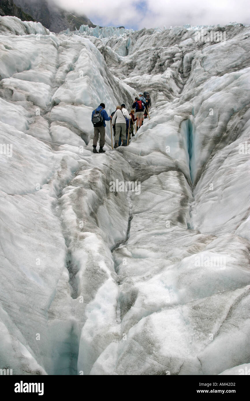 An organised guided tour group hikes on the Fox Glacier in the Mt Cook National Park South Island New Zealand Stock Photo