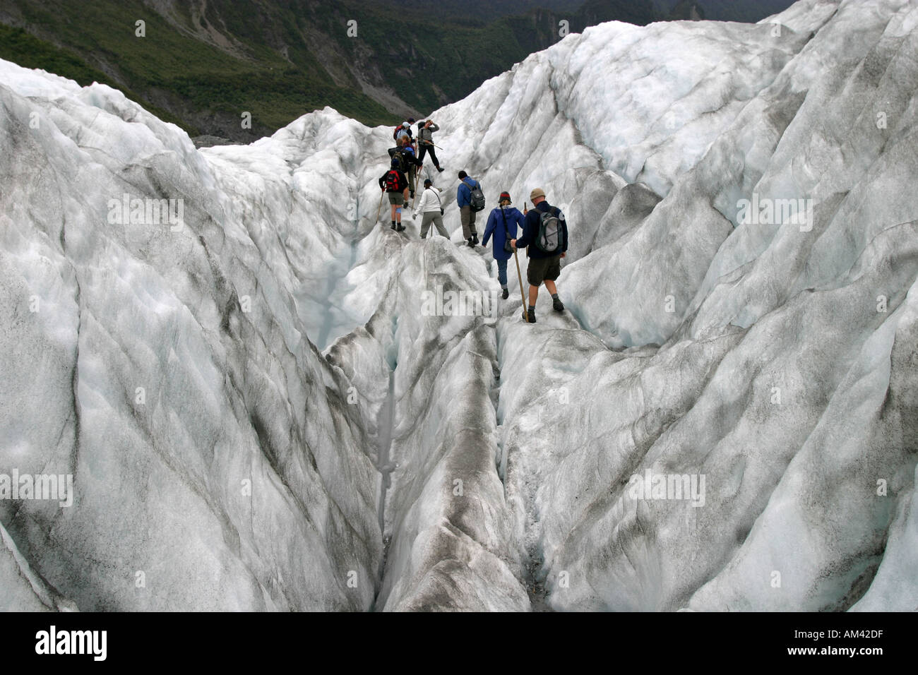 Tourists hiking on a guided tour on the Fox Glacier in the Mt Cook National Park South Island New Zealand Stock Photo