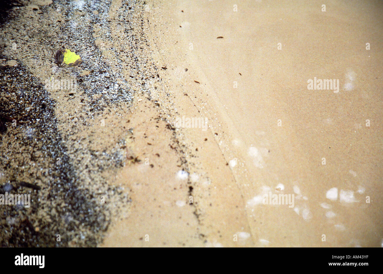 Wellspring sand in closeup at Kuldiga Latvia Stock Photo