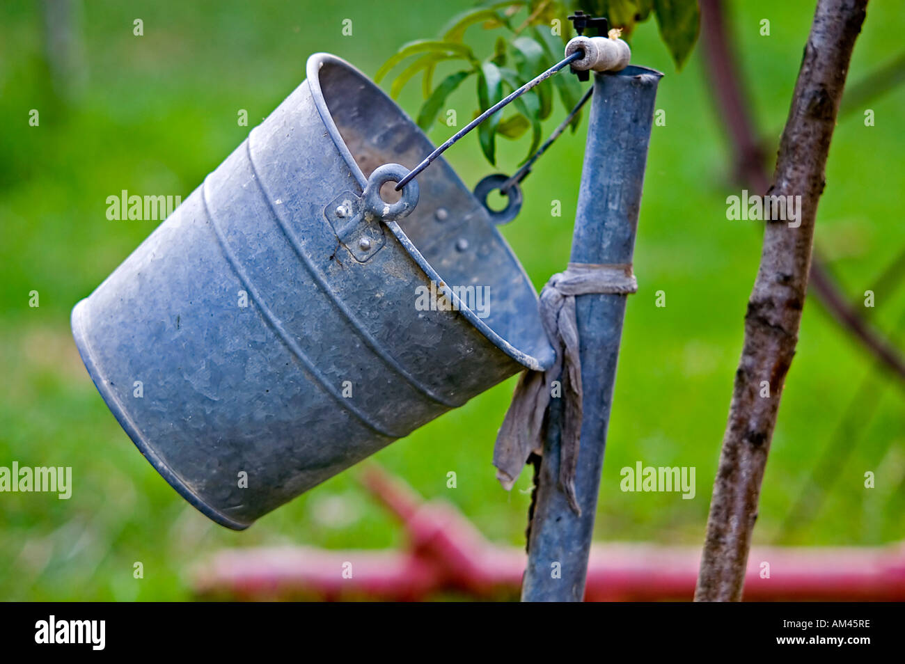 Old Tin Bucket Stock Photo Alamy