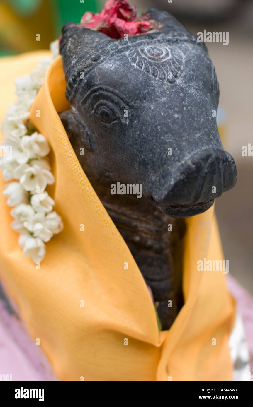 Closeup of a statue of Nandi, Tirupati, Tirumala Venkateswara Temple