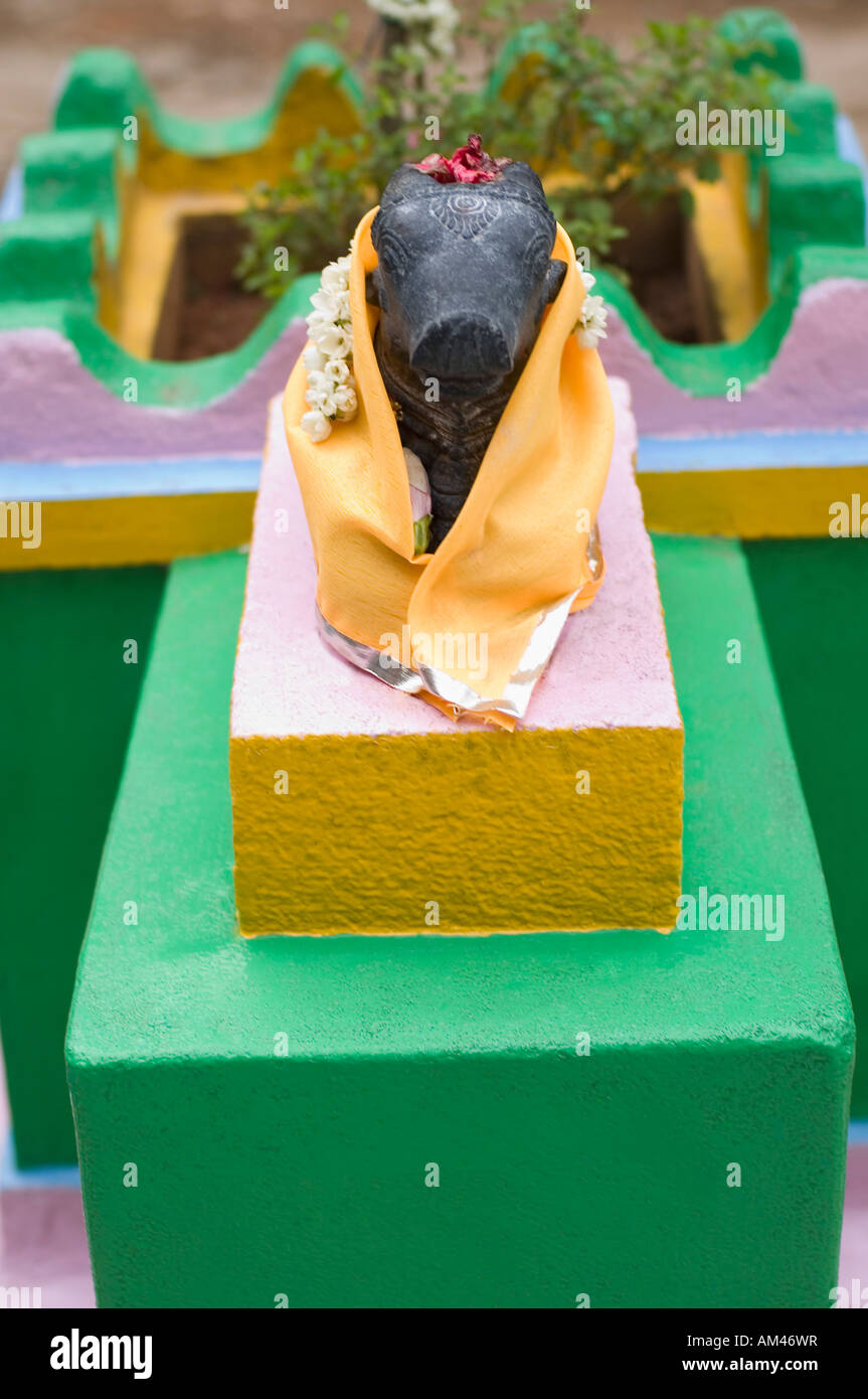 Statue of Nandi in a temple, Tirupati, Tirumala Venkateswara Temple