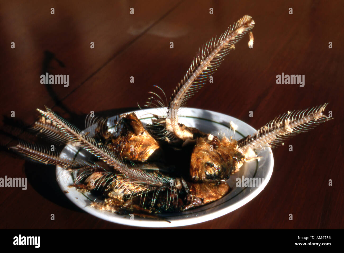 Plate of sardines bones in Sun Stock Photo Alamy