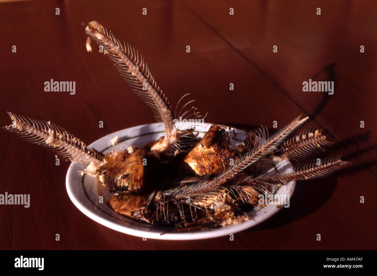 Plate of sardines bones in Sun Stock Photo Alamy