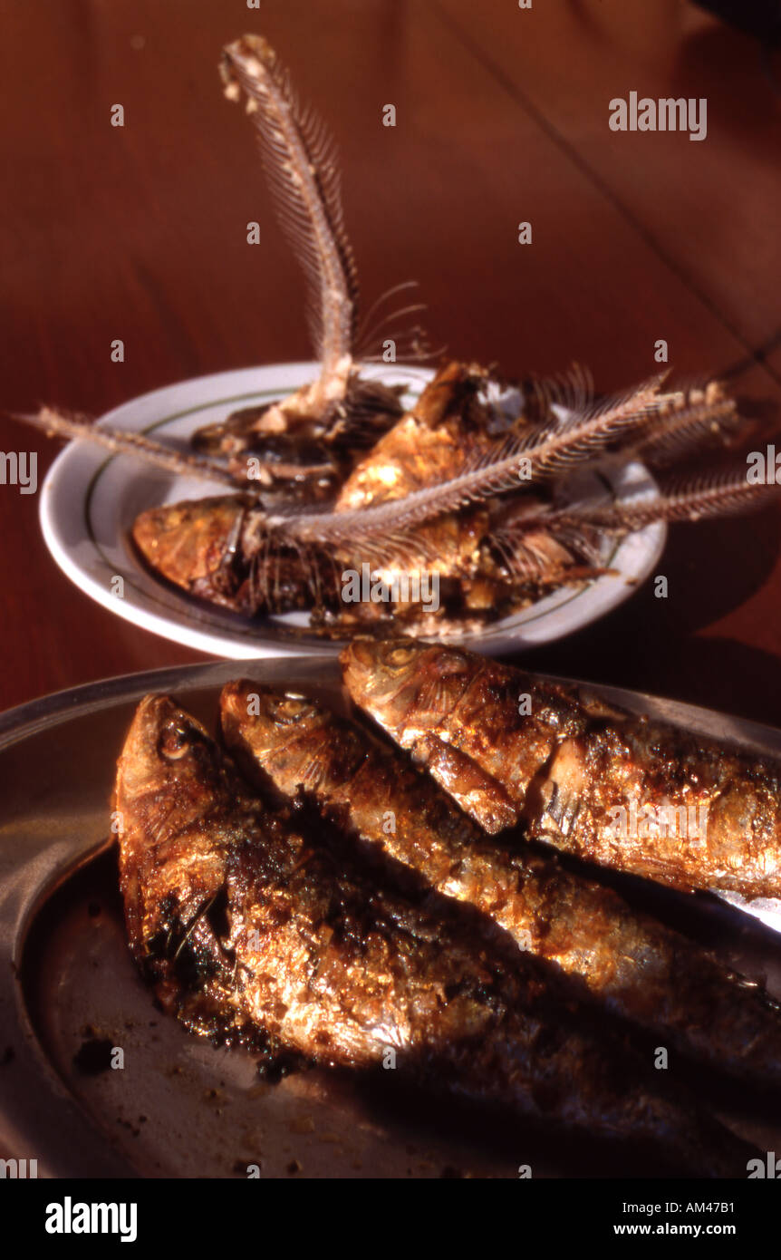 Plate of sardines bones and barbecued sardines in Sun Stock Photo Alamy