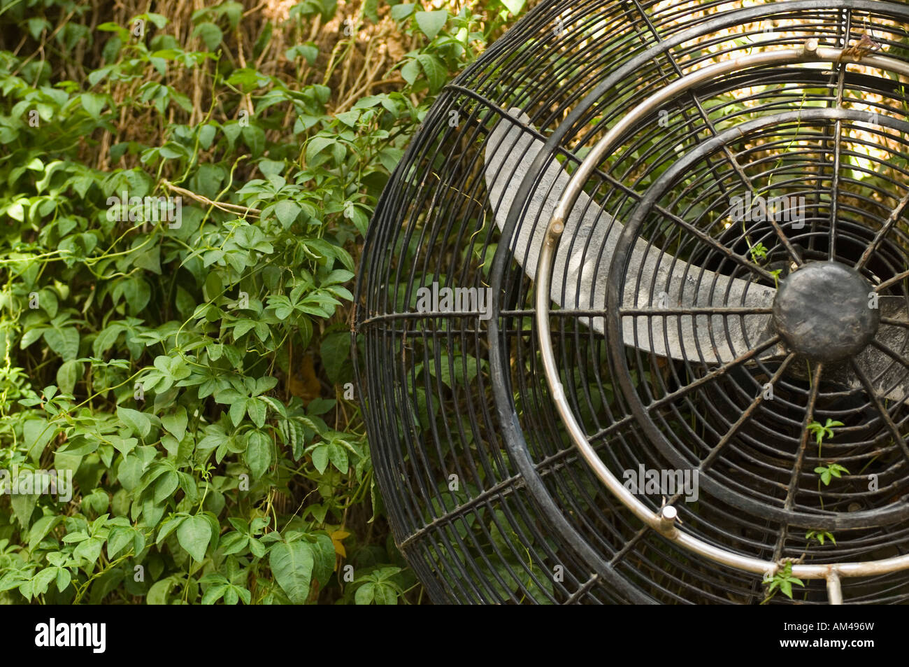 Closeup of an electric fan Stock Photo Alamy