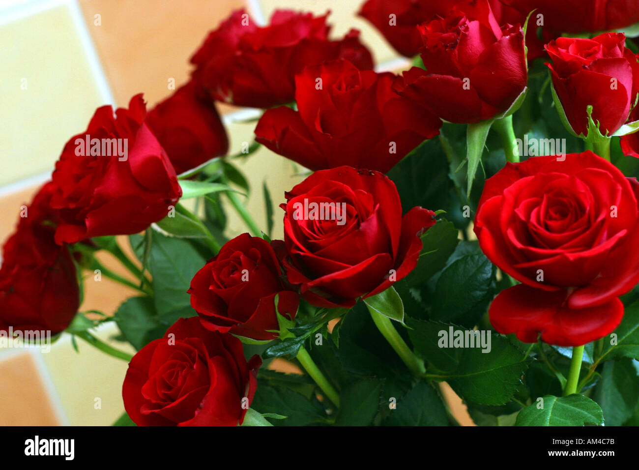 Bunch of Red roses, symbol of love Stock Photo - Alamy