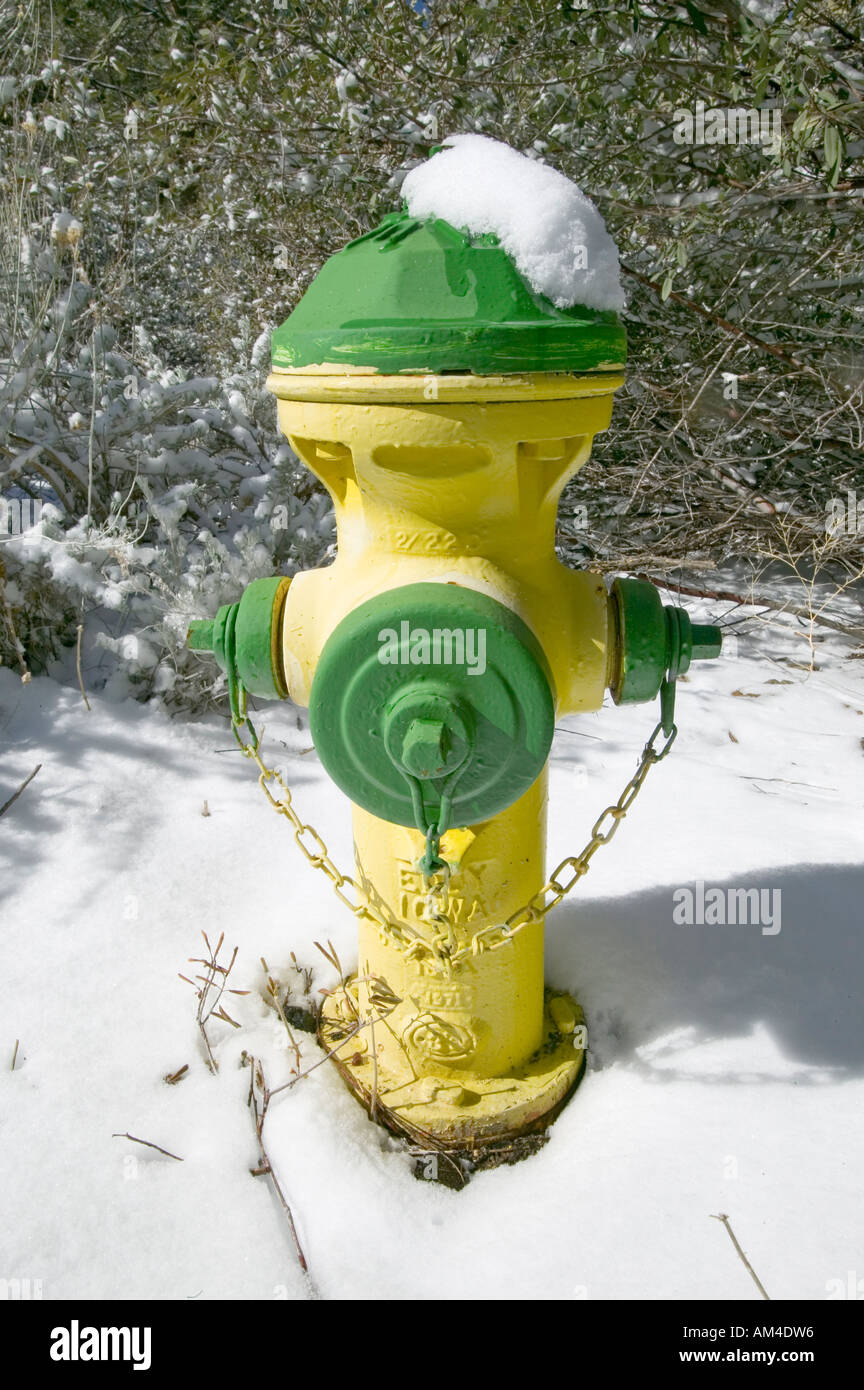 Snow hat on yellow and green fire hydrant in Pine Mountain Club Kern County Southern California Stock Photo