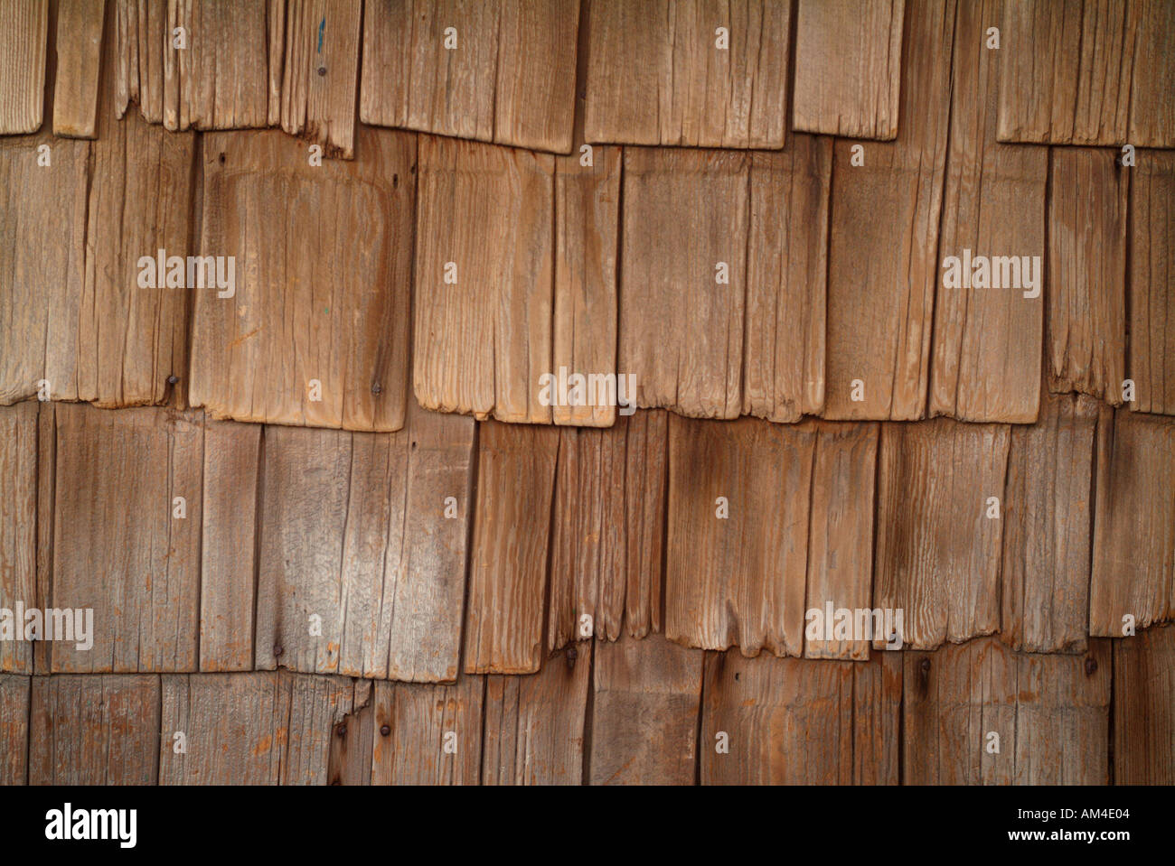 worn cedar shakes background Stock Photo