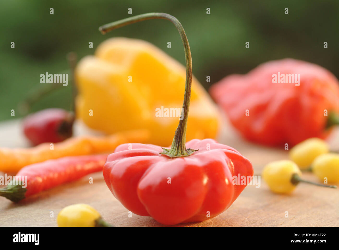 selection of chili peppers on a cutting board Stock Photo