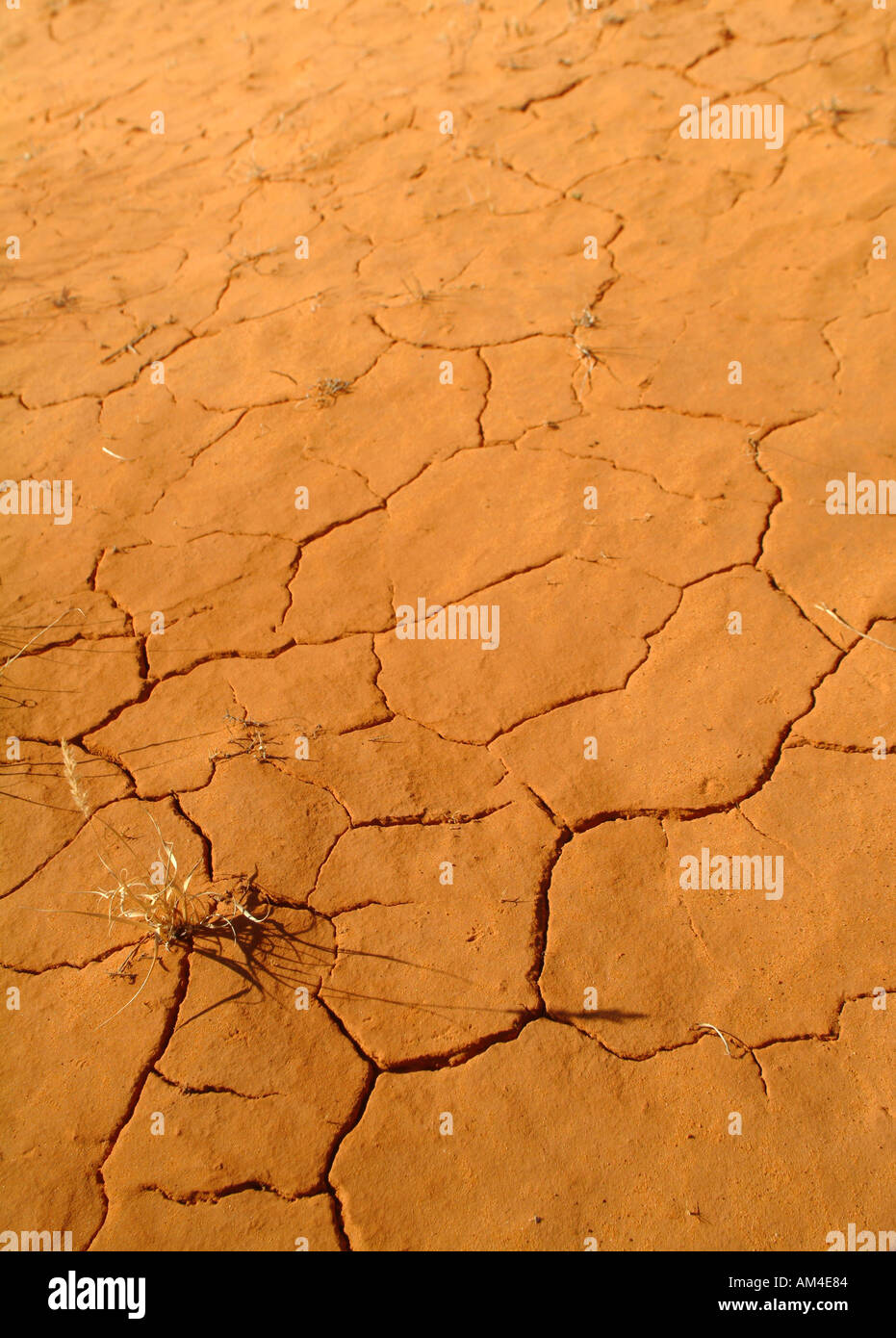 dried cracked mud Stock Photo