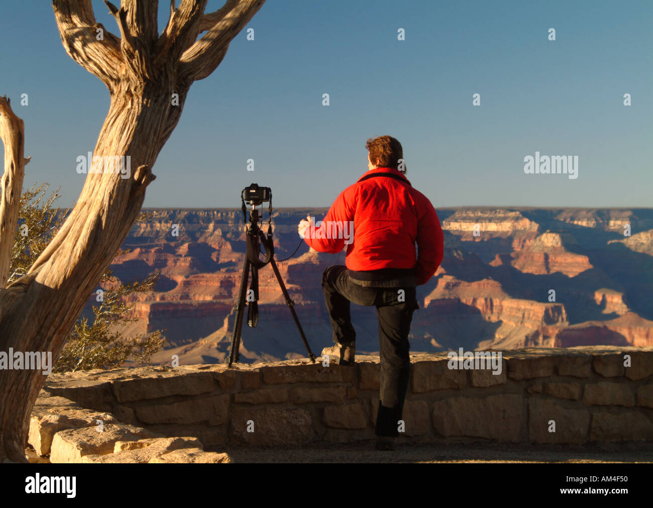 Tourist at the Grand Canyon takes photos with a camera and a tripod Stock Photo