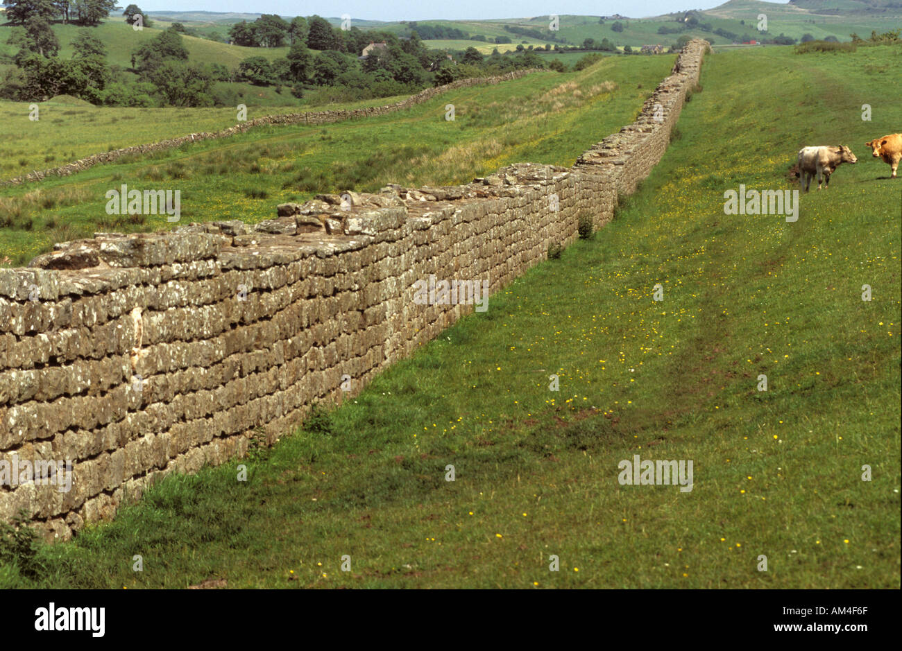 Hadrians Wall in northern England, built to prevent military raids on