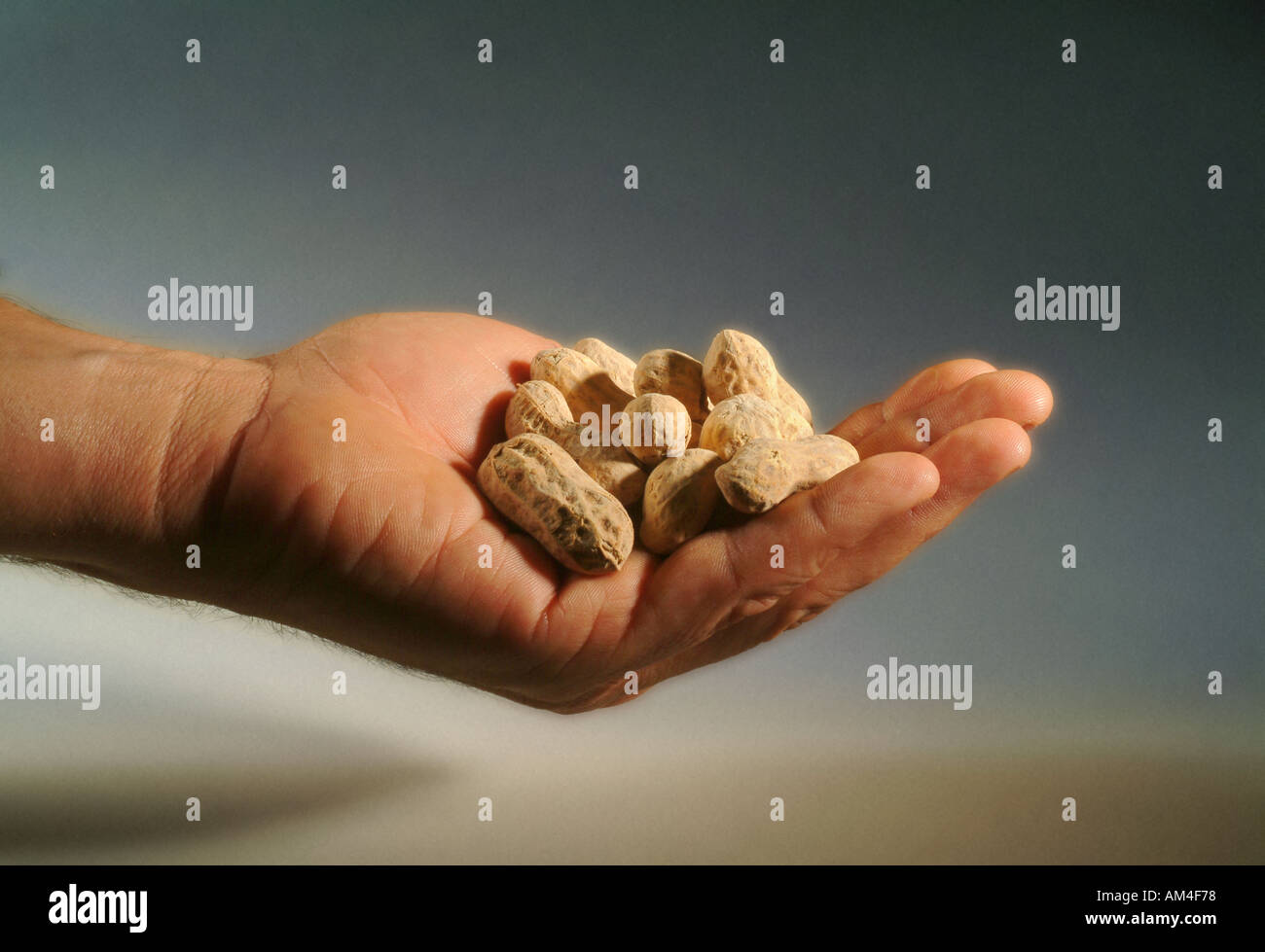 A handful of peanuts Stock Photo Alamy