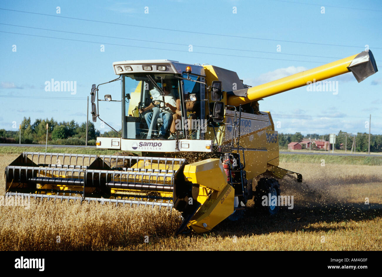 Combining corn in Finland Stock Photo - Alamy