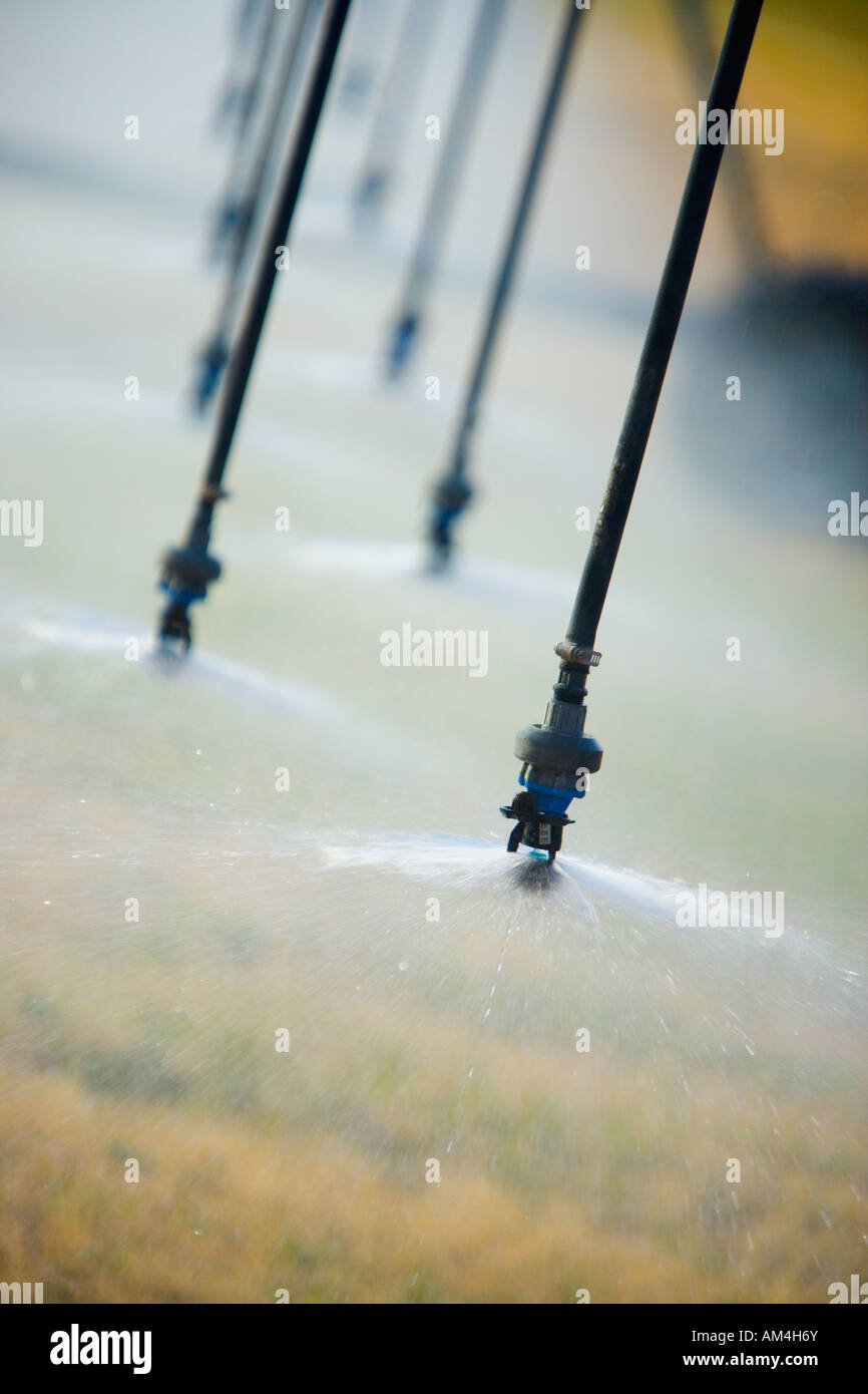 Sprinklers irrigation pivot hires stock photography and images Alamy