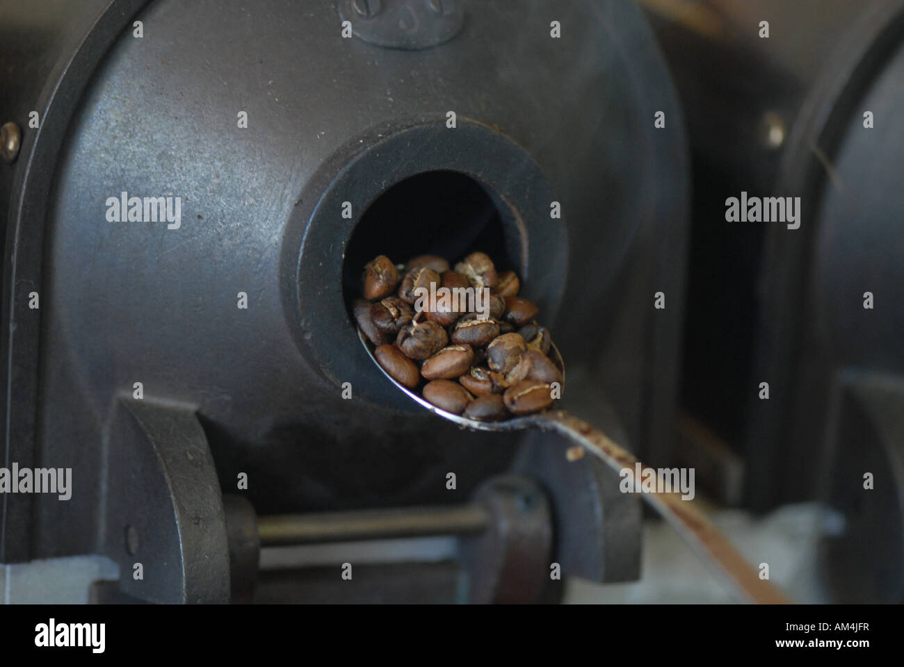 Coffee roasting in the quality control laboratory Central Warehouse