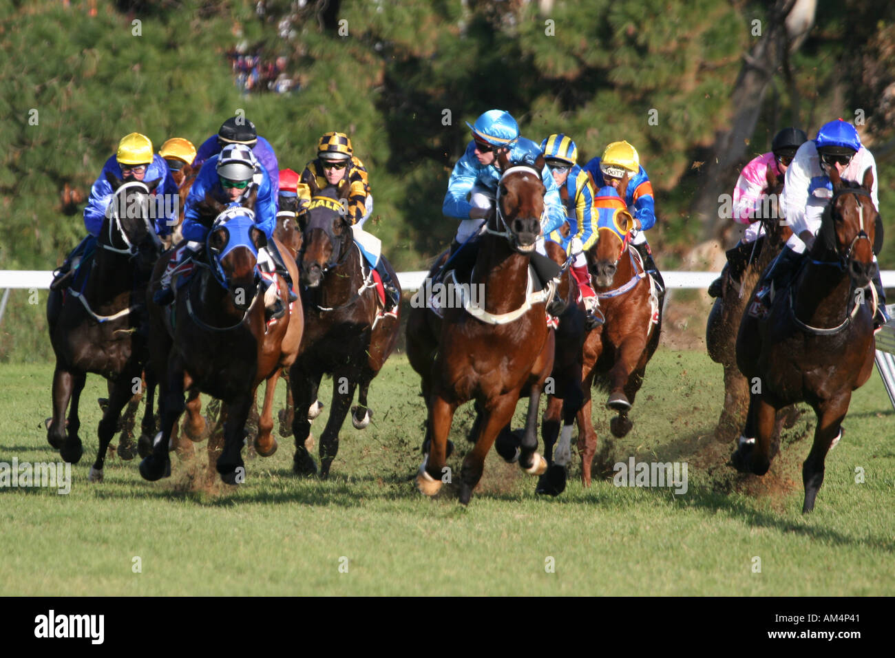 Horses racing around home turn Stock Photo