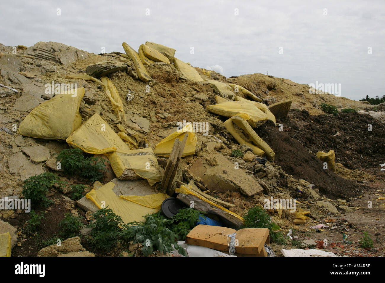 Recycling Stock Photo
