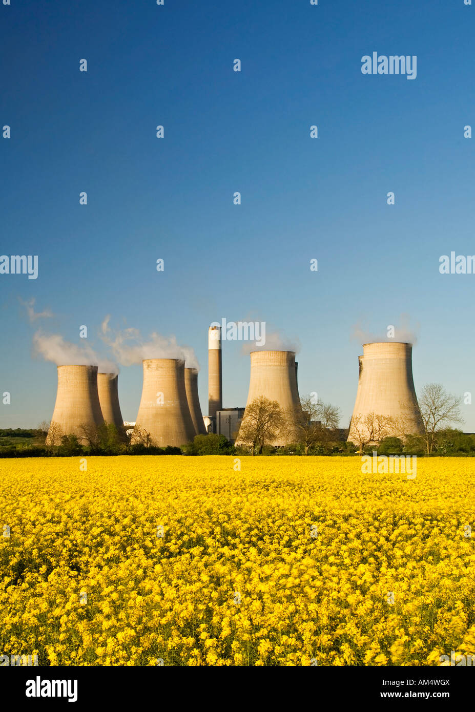 Coal Fired Power Station and Rapeseed Field, Ratcliffe on Soar, Near Nottingham, East Midlands, England, UK Stock Photo