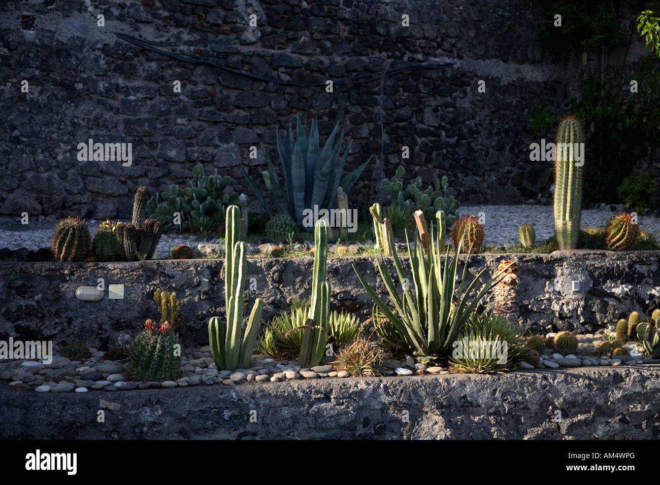 Cactus sicily hi-res stock photography and images - Alamy