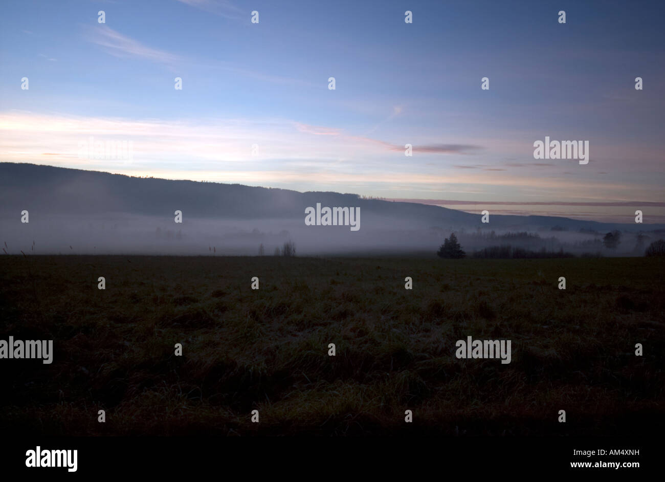 Fog field background hi-res stock photography and images - Alamy