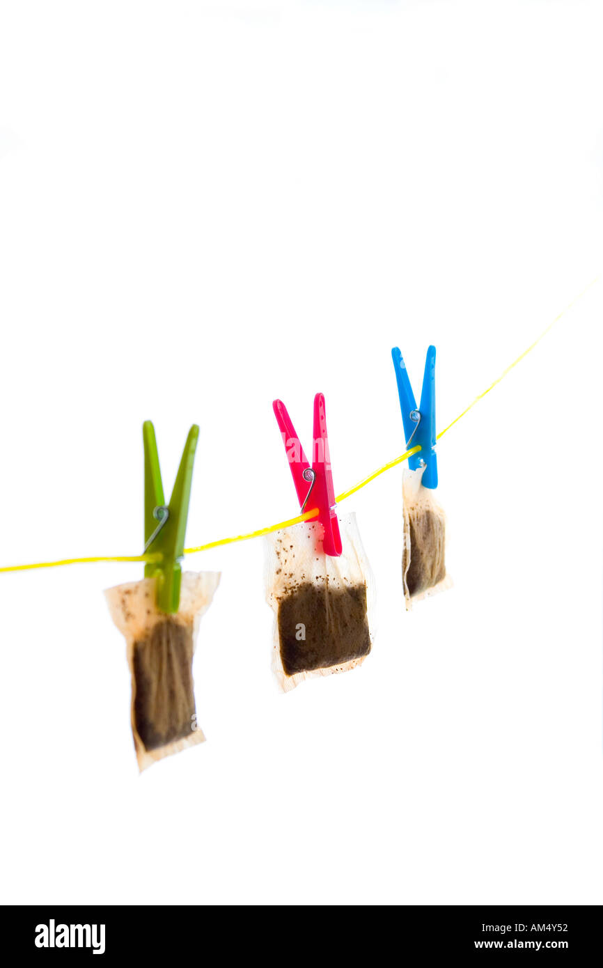 Teabags hung out to dry on a washing line Stock Photo