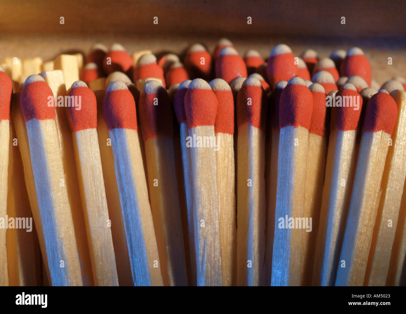 A cluster of wooden 'strike anywhere' matches. Stock Photo