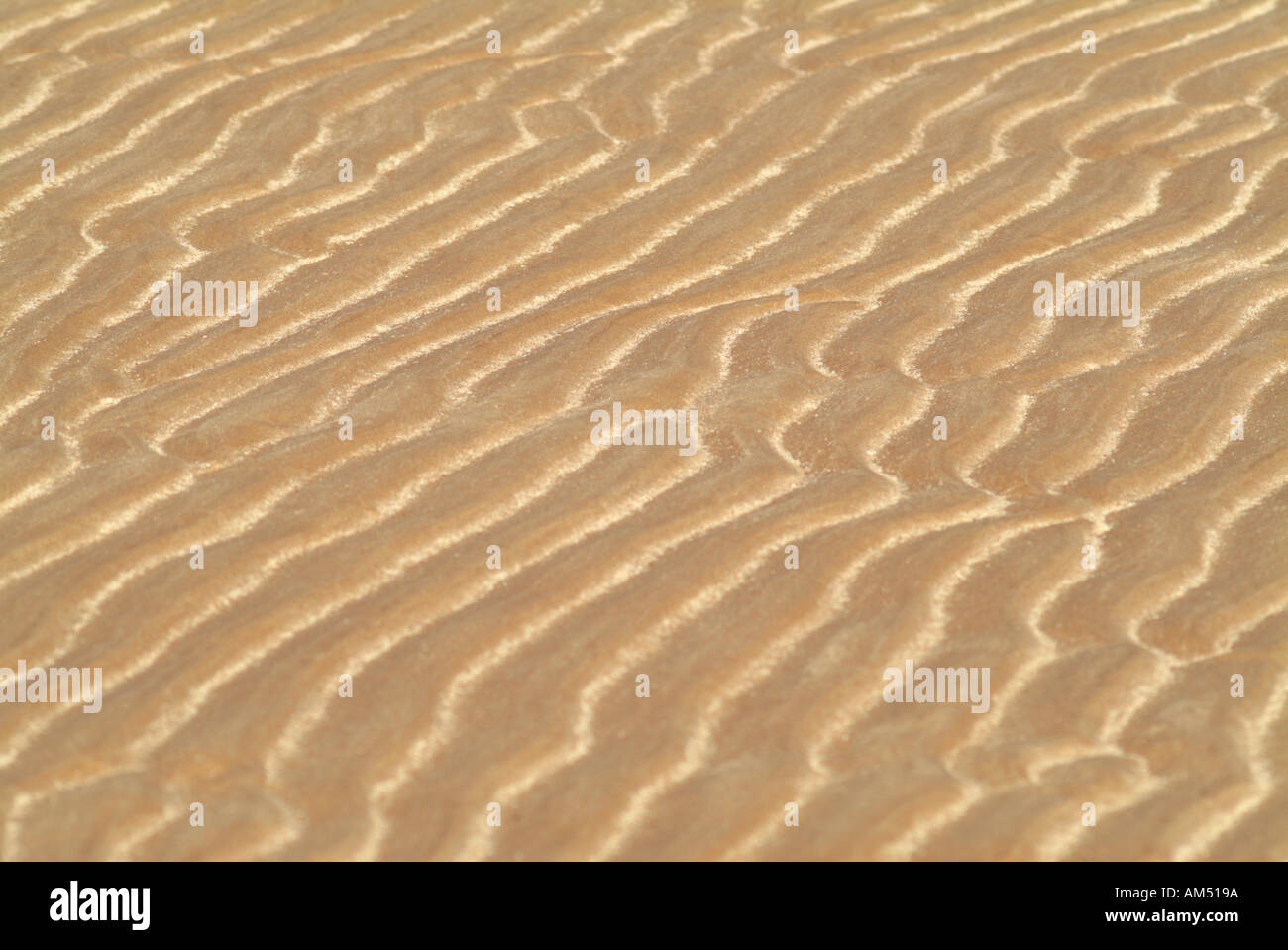 wave generated ripples ior washboarding n wet sand on a beach exposed as the sea retreated at low tide. Stock Photo