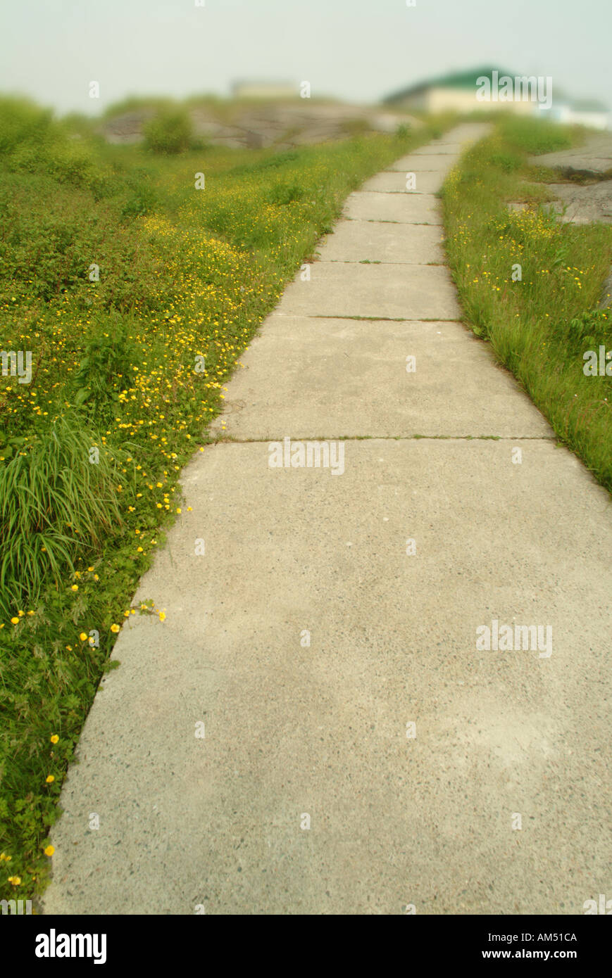 Sidewalk walkway path hi-res stock photography and images - Alamy