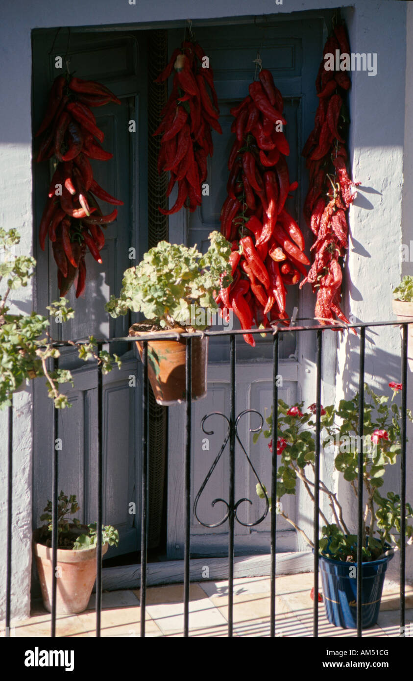 Red peppers drying in a window in the small town of Cazorla Jaen Province Southern Spain Stock Photo