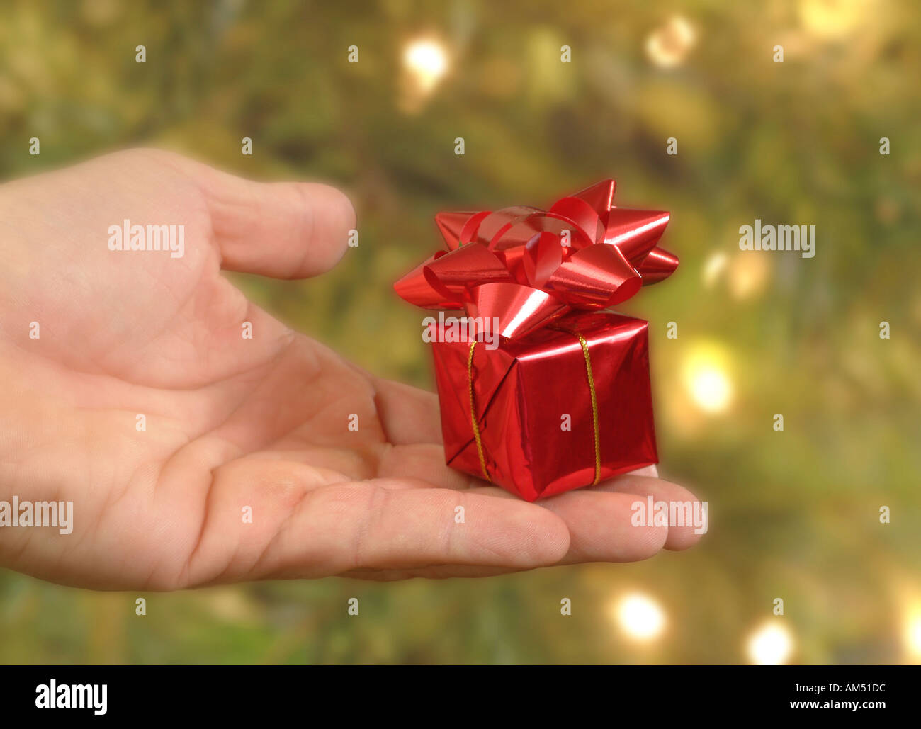 A very small Christmas gift held in a hand by a Christmas tree Stock Photo