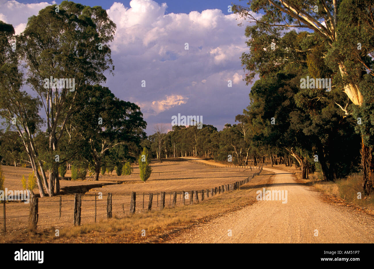 Country lane, Victoria, Australia Stock Photo
