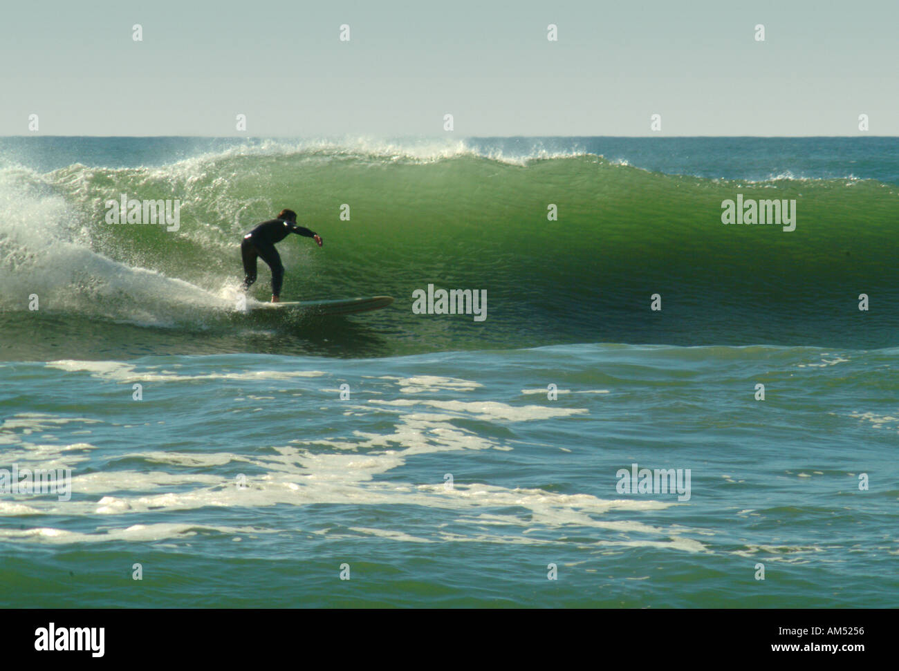 surfer rides a wave at Fire Island Robert Moses State Park Long Island New York Stock Photo