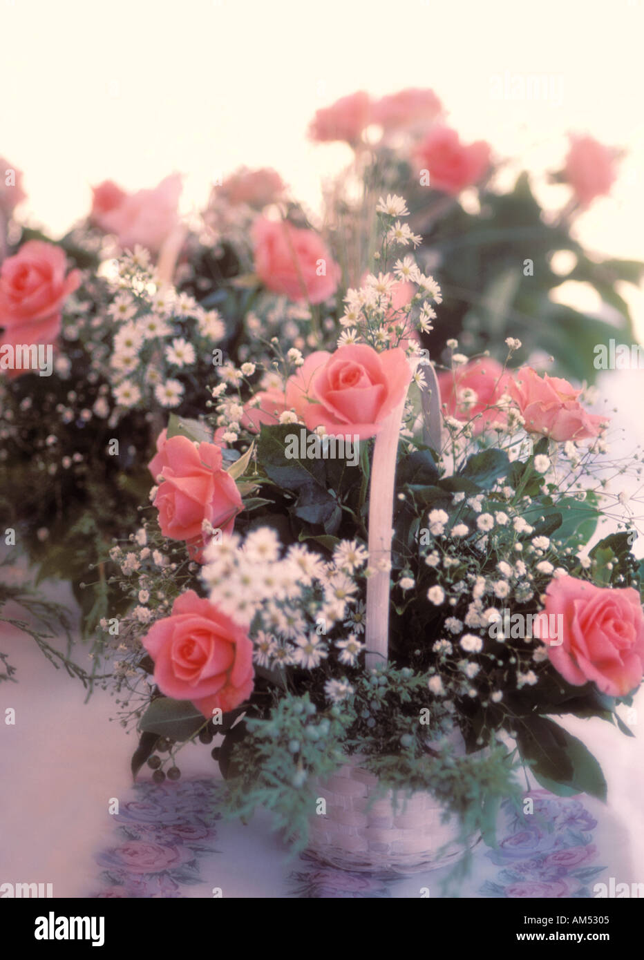 Pink Babys Breath With Pink Background Stock Photo - Download Image Now -  Blossom, Branch - Plant Part, Celebration - iStock